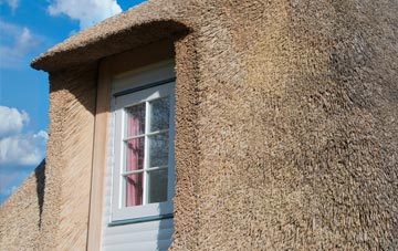 Under Bank thatch roof disadvantages